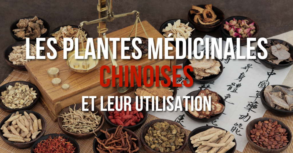 Les plantes médicinales chinoises et leur utilisation