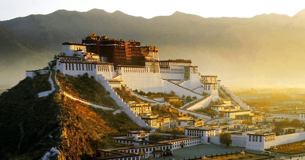 Le Palais du Potala